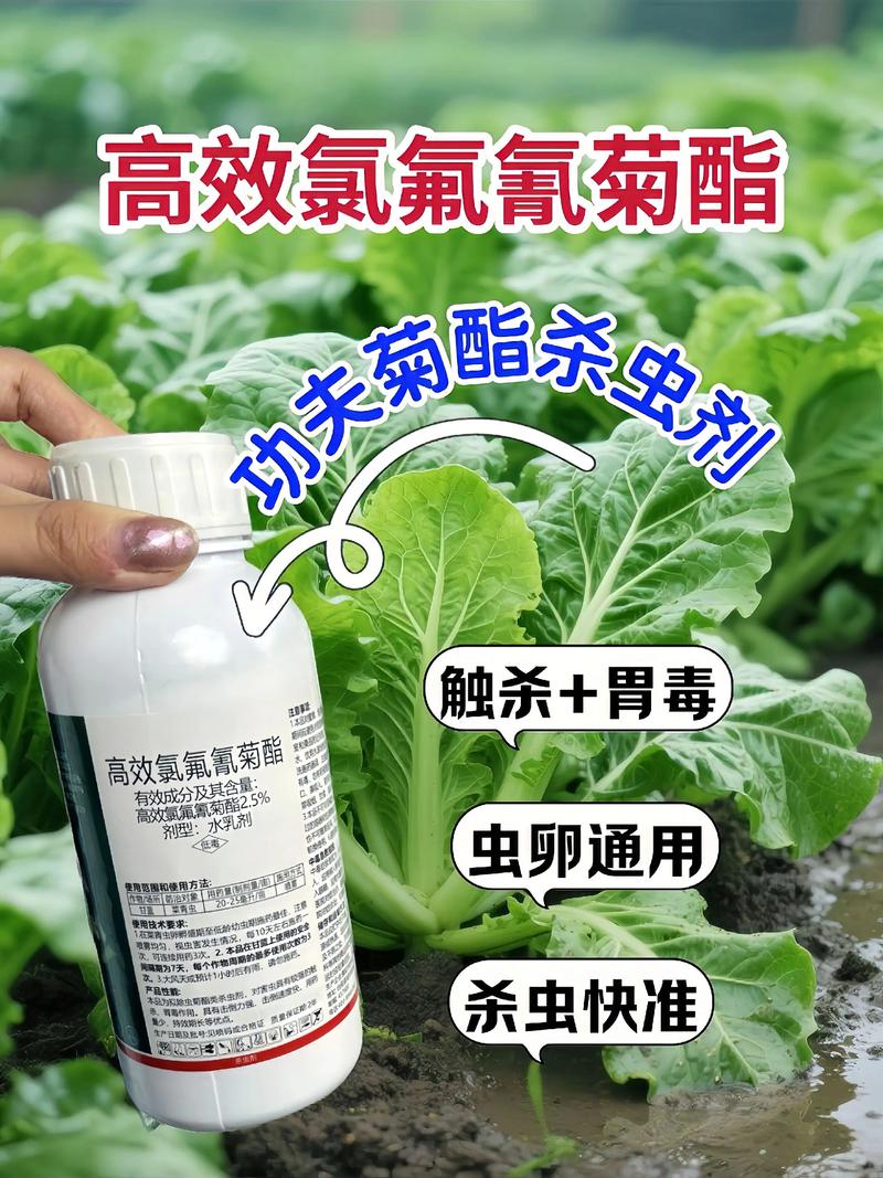 济源代生中心:农药对供卵代生妈妈的危害